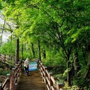 화봉산성 | 세종시에서 가볼만한 힐링 산책코스 세종시계둘레길 12구간 비단강길에 다녀온 후기를 소개드립니다~
