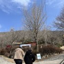 재용농장 | 전남 화순 무등산 양떼목장 후기🐑🍀