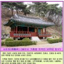 사은정 이미지