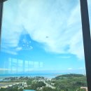 바르바커피 | 대부도 회전전망대카페 바르바커피 타워360 오션뷰 후기