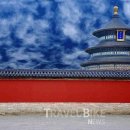 고수의비법 이미지