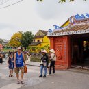 황금렌트카 | 다낭 자유여행 렌트카 16인승 패키지 찐 후기