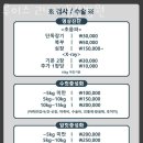 루이스24시동물병원 네이버블로그