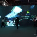 국립해양박물관 이미지