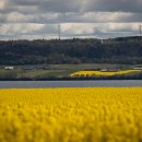 요가와 명상 이미지