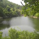 햇빛행정사 이미지