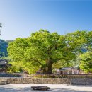 생폴드방스 펜션 이미지