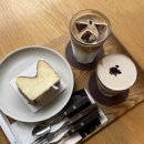 청풍호로L | 제천 감성카페 콘크리트월 뷰, 공간, 커피 모두 완벽!