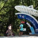 두타연이목정관광안내소 이미지