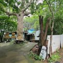 박동약수터 이미지