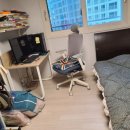 한진오피스텔 | 짐 걱정 덜어주는 베테랑의 손길, '성남한진익스프레스' 이사 후기