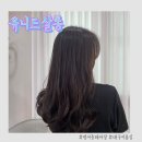 유니드살롱