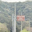 보스톤사이언티픽코리아(주) | 날씨 좋은 가을날 세현C.C. 라운딩 후기