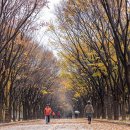 무네미로 장수IC