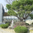 용봉초등학교 이미지