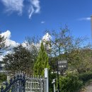 우포1대로 이미지