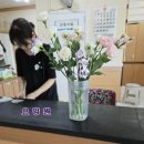 금산효사랑요양병원 이미지