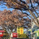 신중앙시장 주차장 앞 네이버블로그