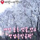 어울근린공원화장실 | 대전 여행 숨은 벚꽃 명소 판암근린공원 솔직 방문 후기 주차장 놀이터 화장실 아이와 가기 좋은 곳