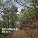 대금산진달래길(트레킹) | 환한 웃음과 함께 한 거제 대금산 진달래 꽃길 트레킹 / KWNA 힐링 트레킹