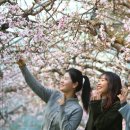 미소가하우스 이미지