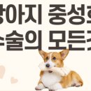 그랜드 동물병원 이미지