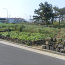 삼동민박 이미지