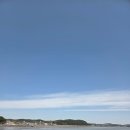 델켓풀빌라 | 🌊 대부도 델켓 풀빌라 이용후기 🏖️