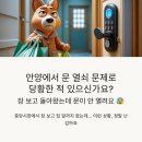 평촌삼성래미안(아)경로당 | 🎯 안양 열쇠, 중앙시장 다녀왔는데 문이 안 열려요? (긴급해결 꿀팁)