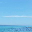 사근진해변 해중공원 이미지