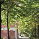 1015 | 1015 부동산대책 직전 아파트 갈아타기 후기(4) (feat. 규제전날 계약서 쓴 썰) | 매수 매물 찾기