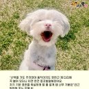 미소주유소 이미지