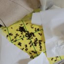 왔다 개미 | 집안 개미 퇴치 작전! 바이엘 맥스포스 사용 후기