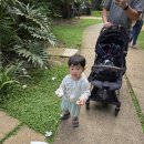 경동제일어린이집 | [내돈내산] 싸이벡스 코야 휴대용 유모차(COYA) ｜ 2년 반 실사용, 기내반입, A/S 후기 (현실적ㅋㅋ)