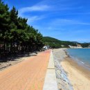 월포해수욕장야영장 이미지