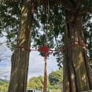 계절이 지나가는 하늘 이미지