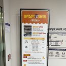 충양사 | 부산 해양자연사박물관 주차 및 최근다녀온 대만족 후기