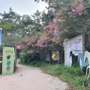 동축사입구 공영주차장 이미지