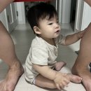 여주-0619 네이버블로그