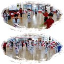 용인대최우수체육관 이미지