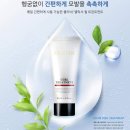 지더블유프로페셔널