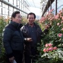 무등농원 이미지