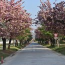 미사경정공원 이미지