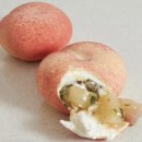 파티세리 후르츠(Patisserie Fruits)