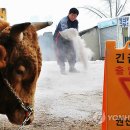 기현목장 이미지