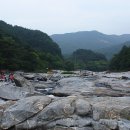 망 미 정 이미지