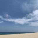 해오름 거진항생선찜 이미지