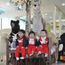 둥근해어린이집 이미지