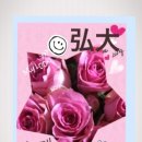 북촌손만두우