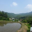 마이바베큐캠프
